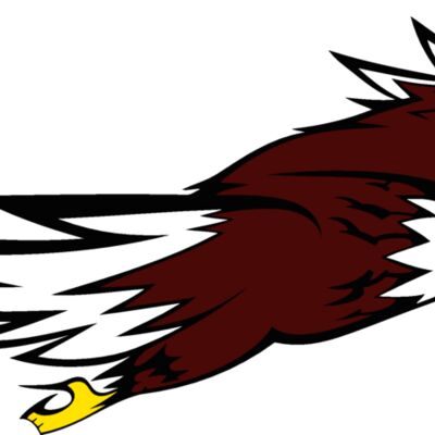 eagle11v4clr Thumbnail