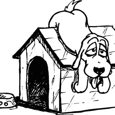 dog house 3 Thumbnail