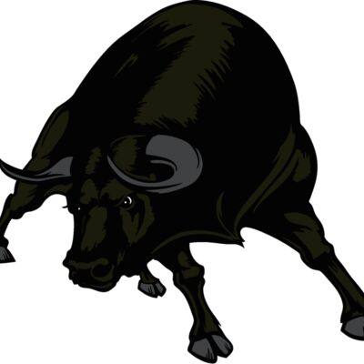 bull01v4clr Thumbnail