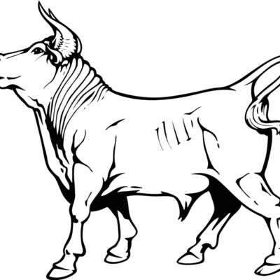 bull10v4bw Thumbnail