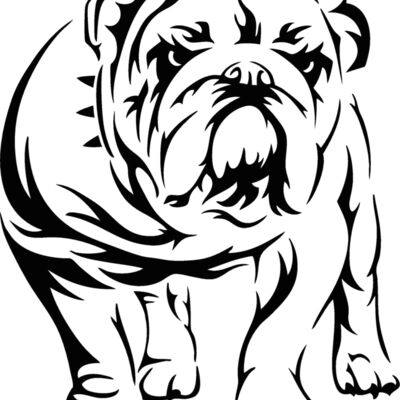 bulldogtrib Thumbnail