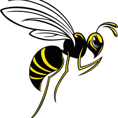 bee02v4clr Thumbnail