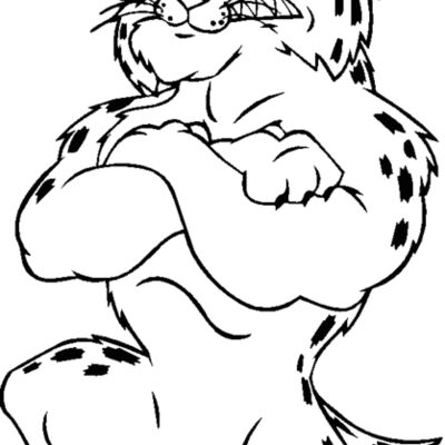 bobcatpoolbns Thumbnail