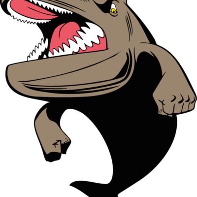 dolphinmsct2 Thumbnail