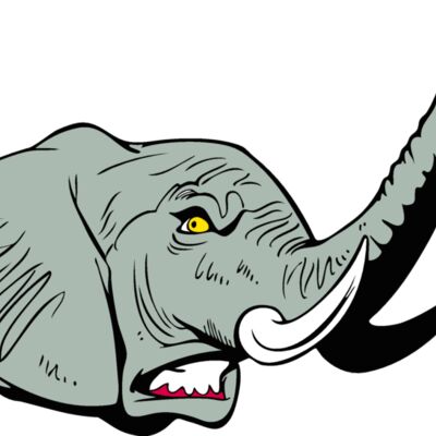 elephanthead11 Thumbnail