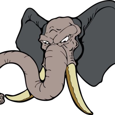 elephanthead12 Thumbnail