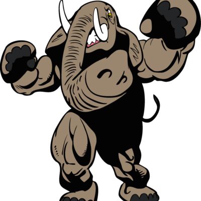 elephantmsct1 Thumbnail