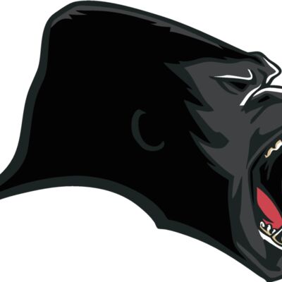 gorilla 24 Thumbnail