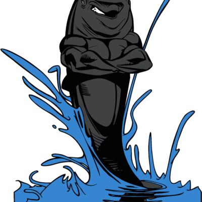 dolphinswim01 Thumbnail