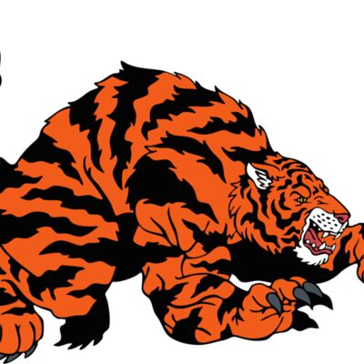 tigermsct03 Thumbnail