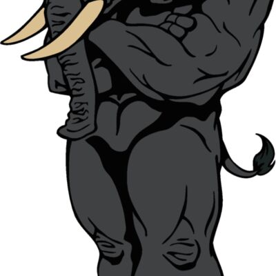 elephant04 Thumbnail