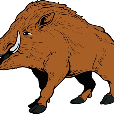 razorback01v4clr Thumbnail