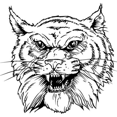 wildcathead05 Thumbnail