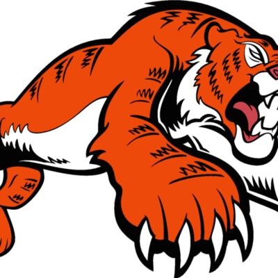 tiger11v4clr Thumbnail