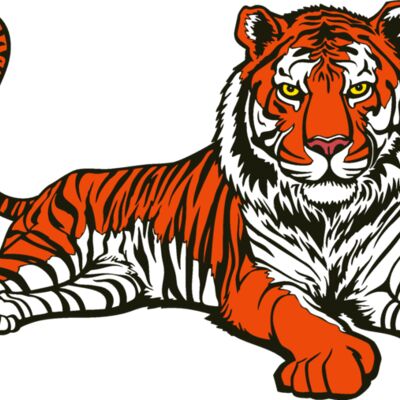 tiger06v4clr Thumbnail