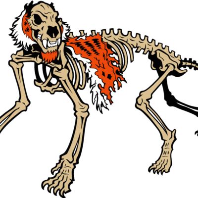 tiger skeleton Thumbnail