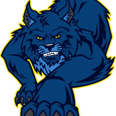 wildcat01v4clr Thumbnail