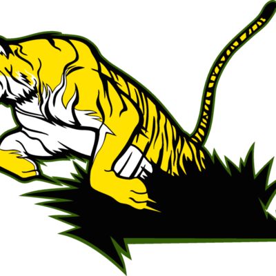 tiger16v4clr Thumbnail