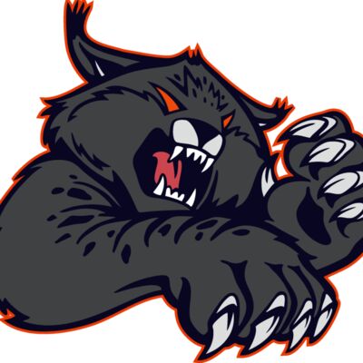 wildcat08v4clr Thumbnail