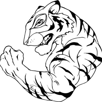 tiger2 Thumbnail