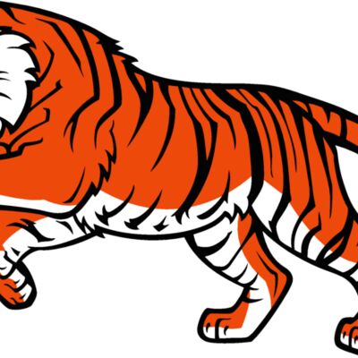 tiger03v4clr Thumbnail