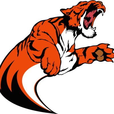 tiger17v4clr Thumbnail