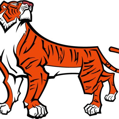 tiger04v4clr Thumbnail