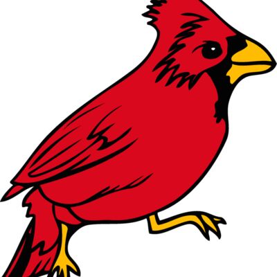 illinois cardinal 1 Thumbnail