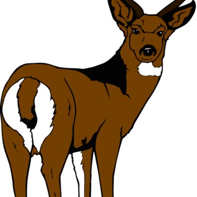muledeer Thumbnail