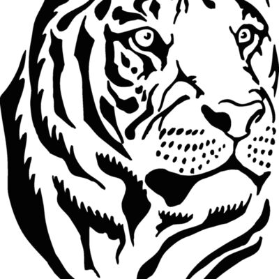 asiantiger Thumbnail