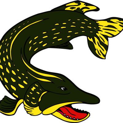 northernpike Thumbnail