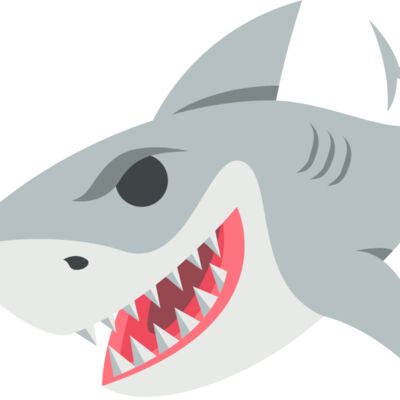 shark Thumbnail
